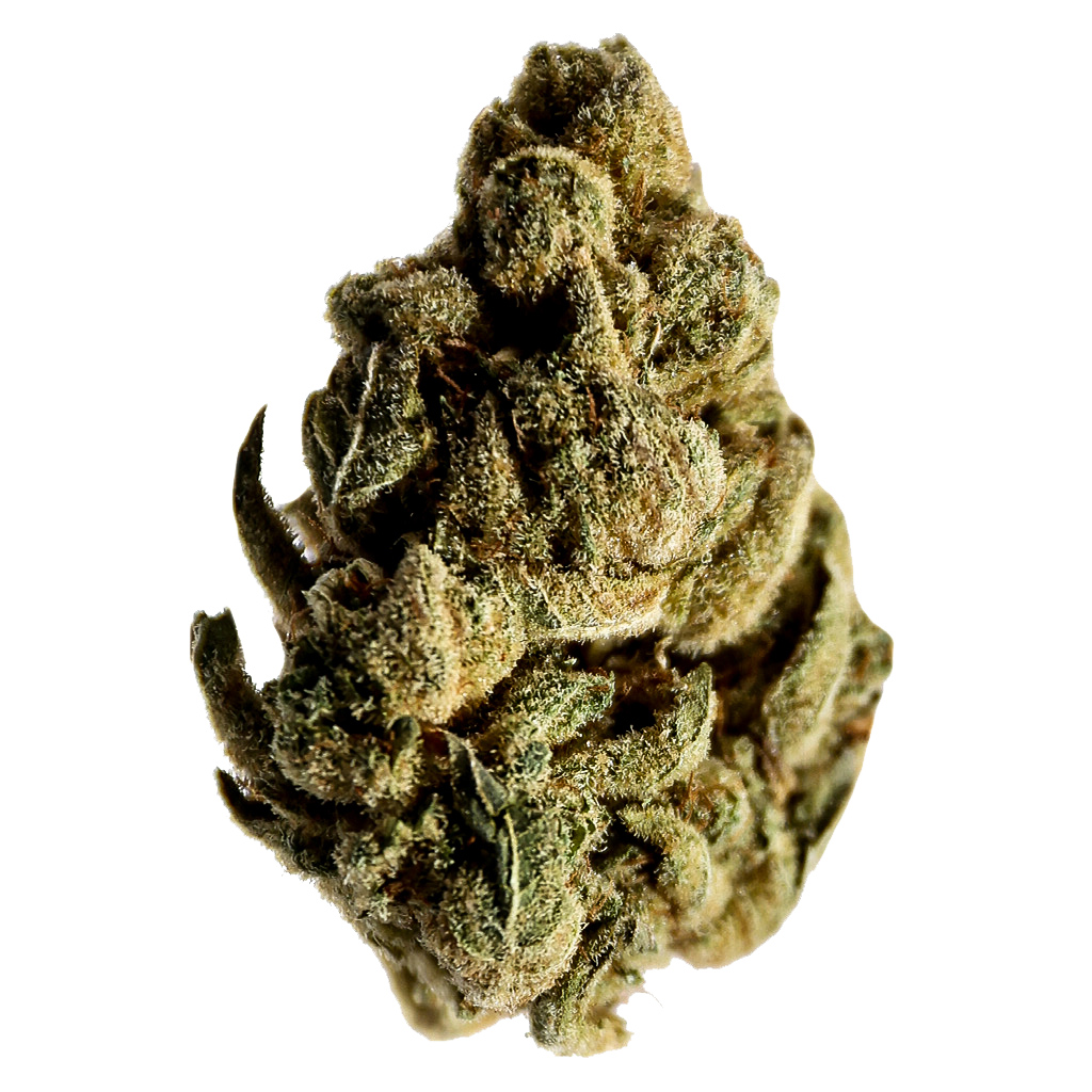 Potluck - Gingerbread Kush 7g Dried Flower - Gingerbread Kush 7g Dried Flower